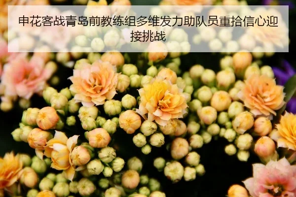 申花客战青岛前教练组多维发力助队员重拾信心迎接挑战